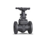 Forged Flanged Globe Valve