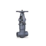 Pressure Seal Forged Gate Valve