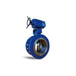 Triple Eccentric Butterfly Valve