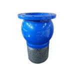 Flanged Foot Valve