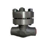 Forged Steel Piston Check Valve 2500LB
